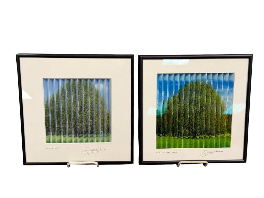STEPHEN G. MAKA NORTHEAST ARTIST REEDED PHOTOGRAPHS MAPLE TREE SEASONAL CHANGES SIGNED (1 of 10)