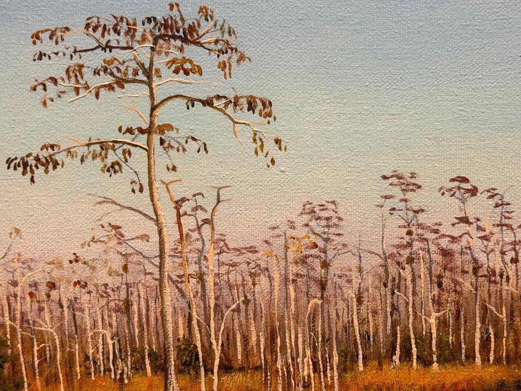 THOMAS R. DAWKINS FLORIDA ARTIST ORIGINAL OIL ON CANVAS PAINTING TITLED WINTER CYPRESS TAMIAMI TR... - 3
