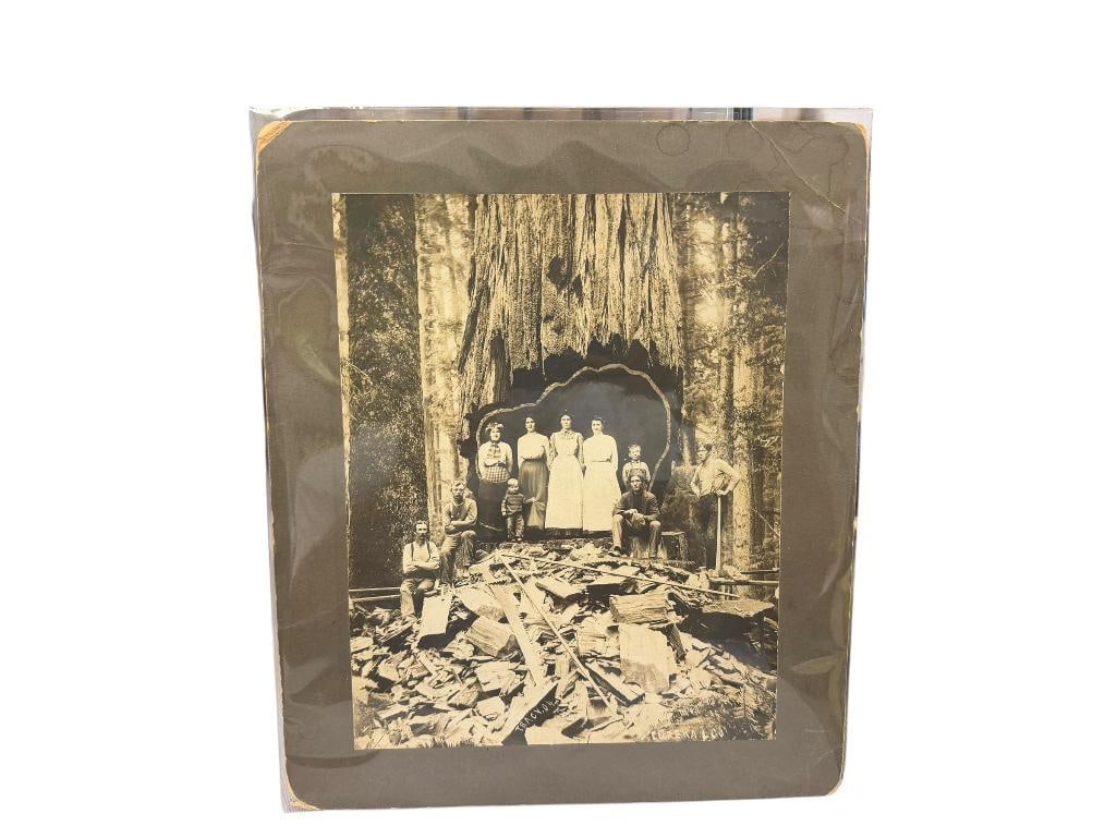 EUREKA CO. BLACK AND WHITE PHOTO OF MEN, WOMEN, AND CHILDREN POSING INSIDE TREE TRUNK: PHOTO DEPICTS PEOPLE POSING INSIDE TREE TRUNK WHICH HAS BEEN CARVED OUT, PHOTO DONE BY PHOTOGRAPHER TRACY, CIRCA 1904 10" X 11 7/8"