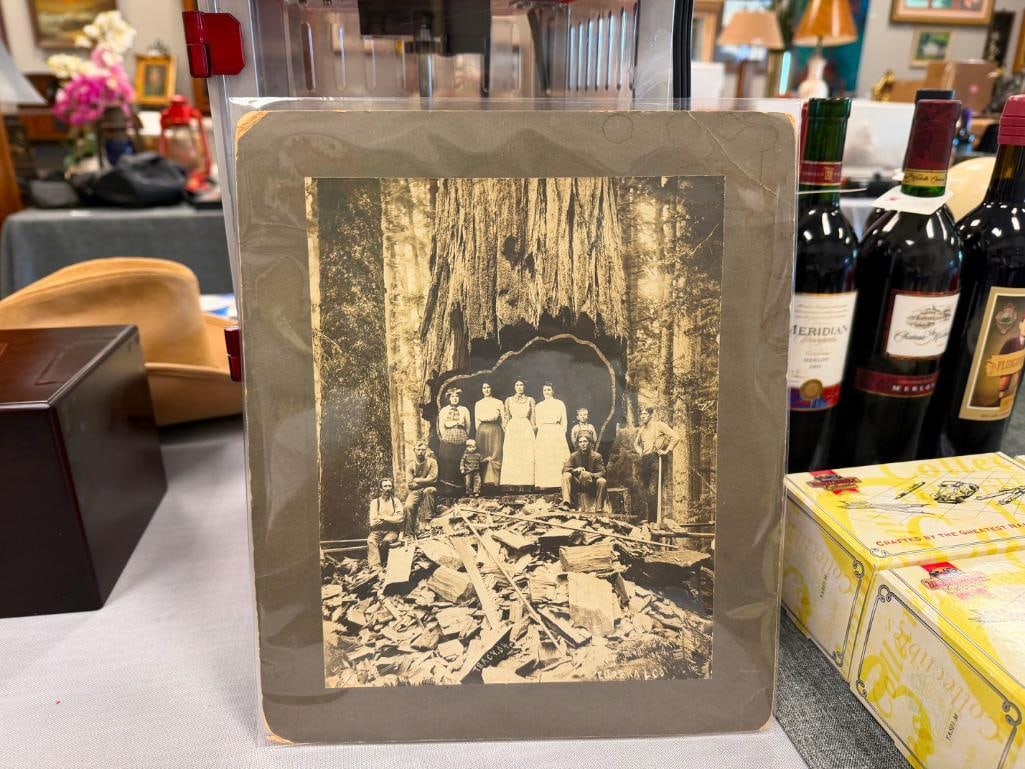 EUREKA CO. BLACK AND WHITE PHOTO OF MEN, WOMEN, AND CHILDREN POSING INSIDE TREE TRUNK - 2