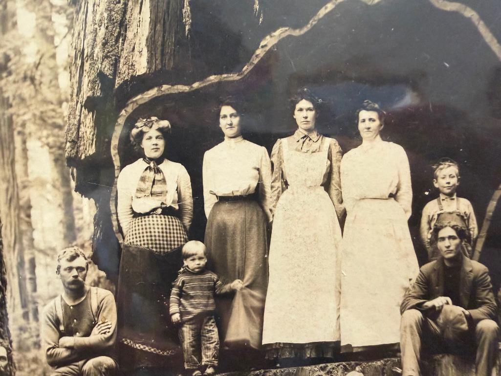 EUREKA CO. BLACK AND WHITE PHOTO OF MEN, WOMEN, AND CHILDREN POSING INSIDE TREE TRUNK - 6