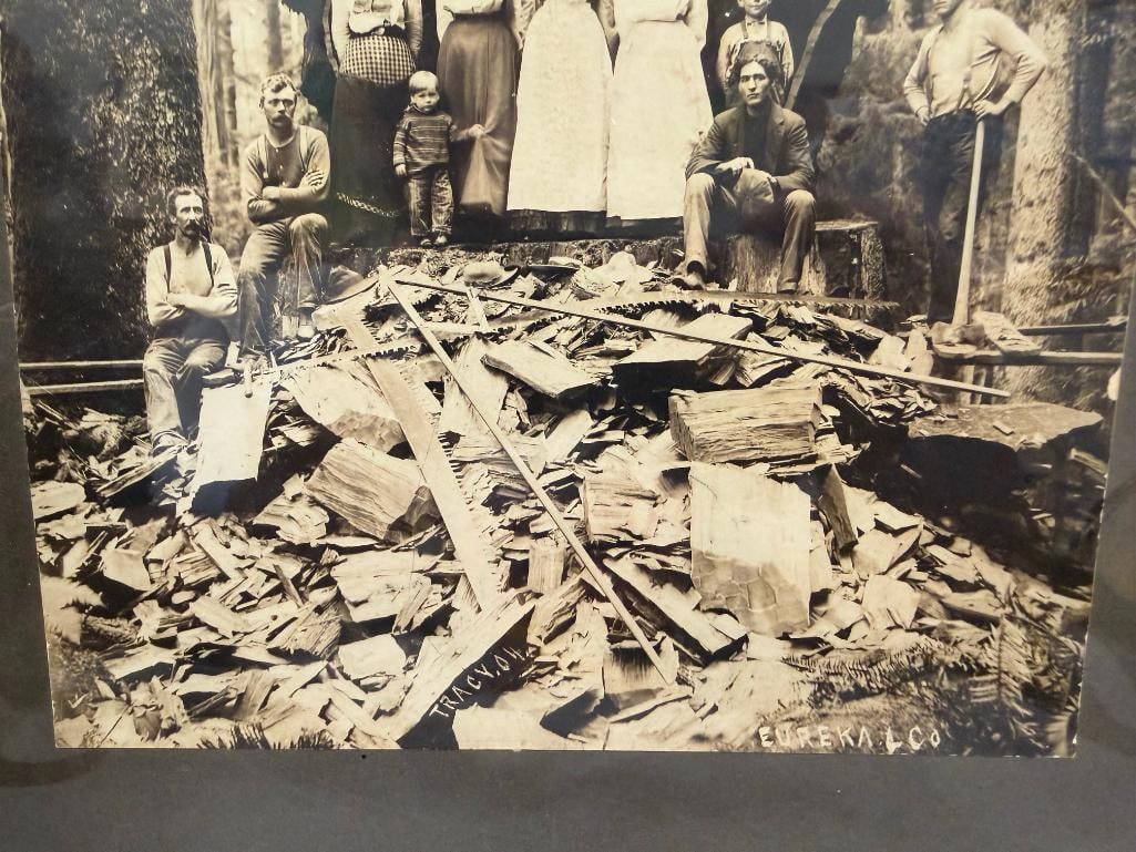 EUREKA CO. BLACK AND WHITE PHOTO OF MEN, WOMEN, AND CHILDREN POSING INSIDE TREE TRUNK - 8