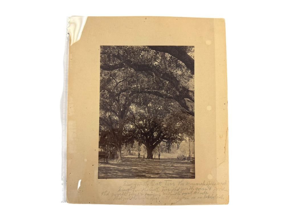 EARLY 1900'S SEPIA TONED PHOTOGRAPH OF MEN AND CHILDREN POSING BY MAMMOTH OAK TREE: PHOTO TAKEN BY NEVADA PHOTOGRAPHER, FEATURES HAND WRITTEN NOTE ON THE BOTTOM IN PENCIL, ALSO HAS NOTE ON THE BACK 10" X 12"