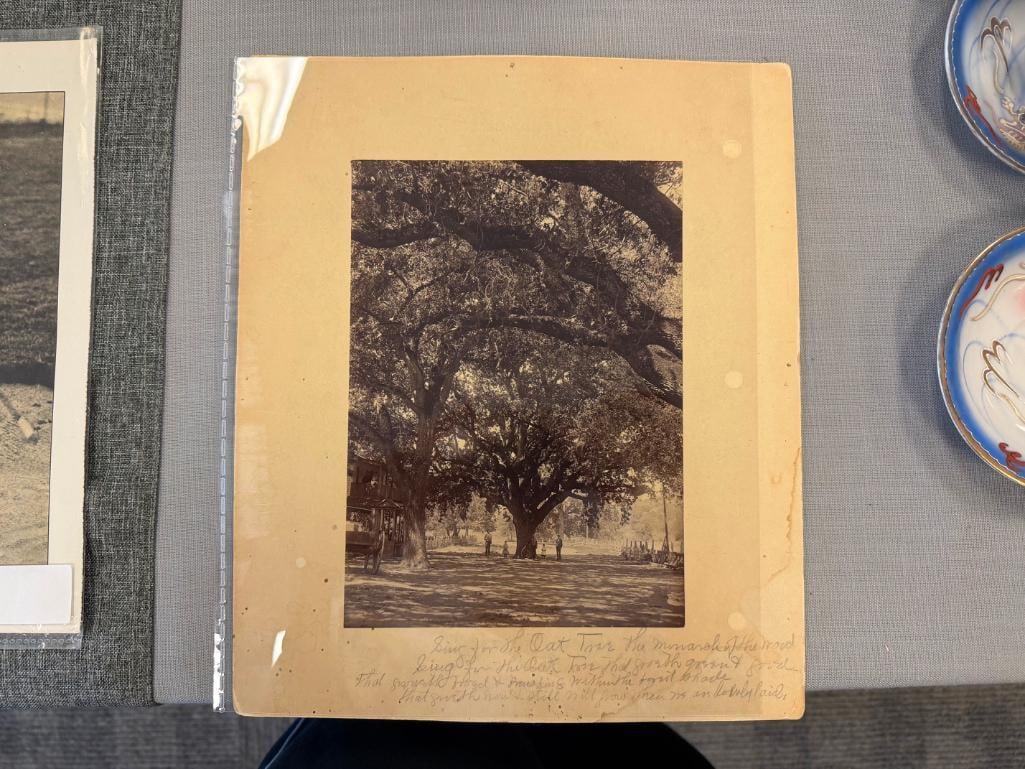 EARLY 1900'S SEPIA TONED PHOTOGRAPH OF MEN AND CHILDREN POSING BY MAMMOTH OAK TREE - 2