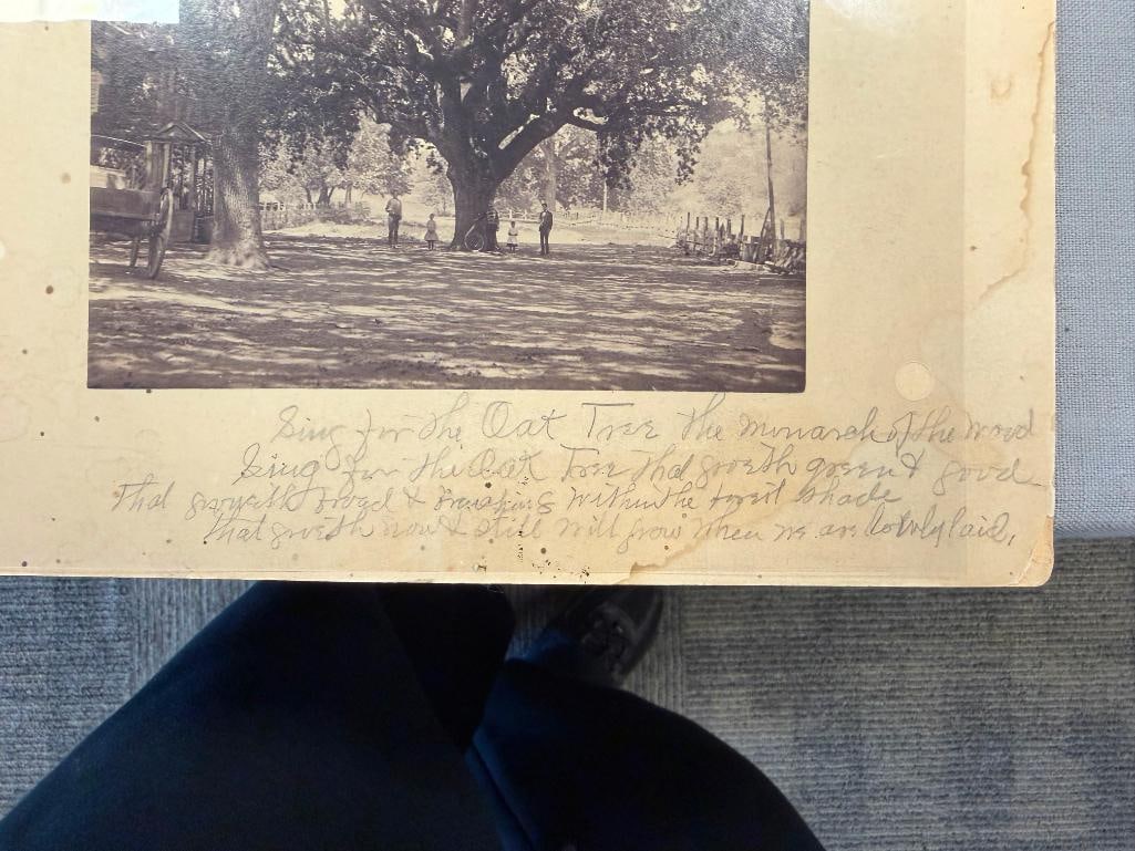 EARLY 1900'S SEPIA TONED PHOTOGRAPH OF MEN AND CHILDREN POSING BY MAMMOTH OAK TREE - 4