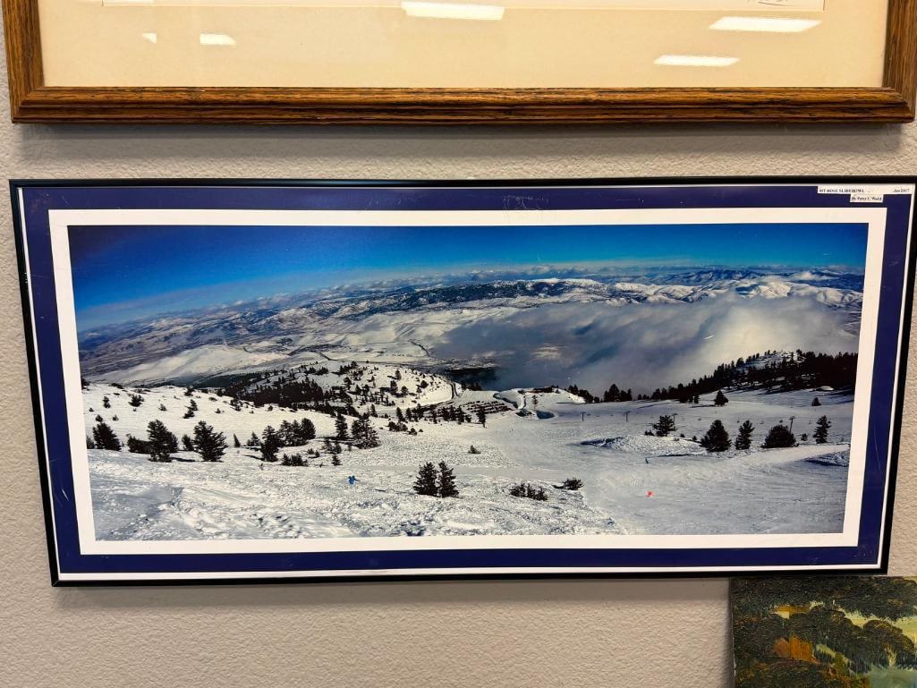 PETER C. WARD RENO, NV PHOTOGRAPHER COLOR PHOTOGRAPH ON BOARD TITLED MT. ROSE SLIDEBOWL JAN 2017 - 2