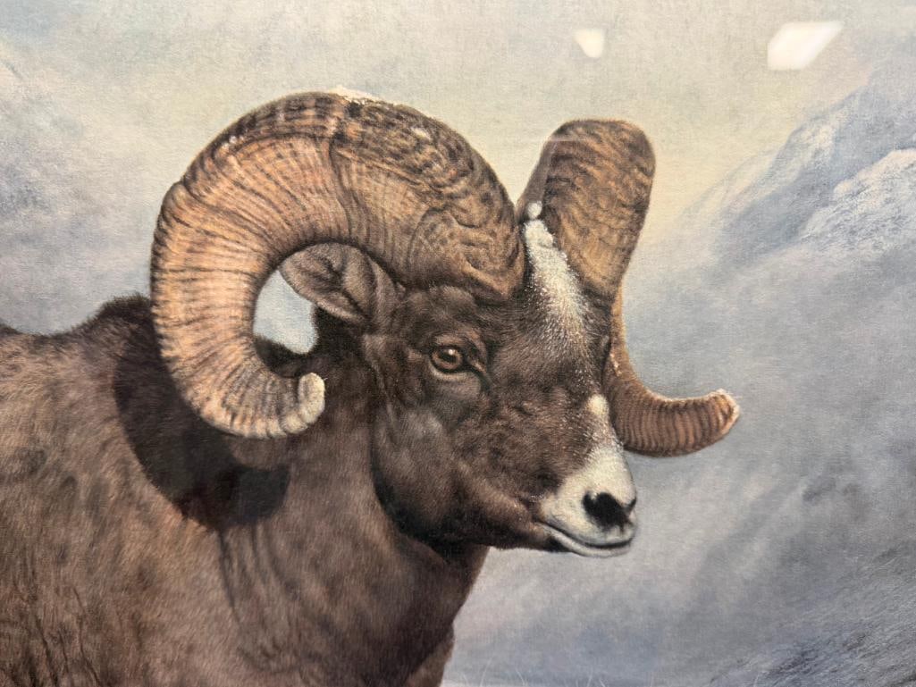 CHARLES FRACE SIGNED AND NUMBERED LIMITED EDITION PRINT BIG HORN COUNTRY 1981 - 6