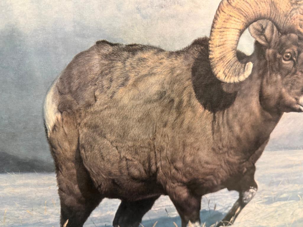 CHARLES FRACE SIGNED AND NUMBERED LIMITED EDITION PRINT BIG HORN COUNTRY 1981 - 7