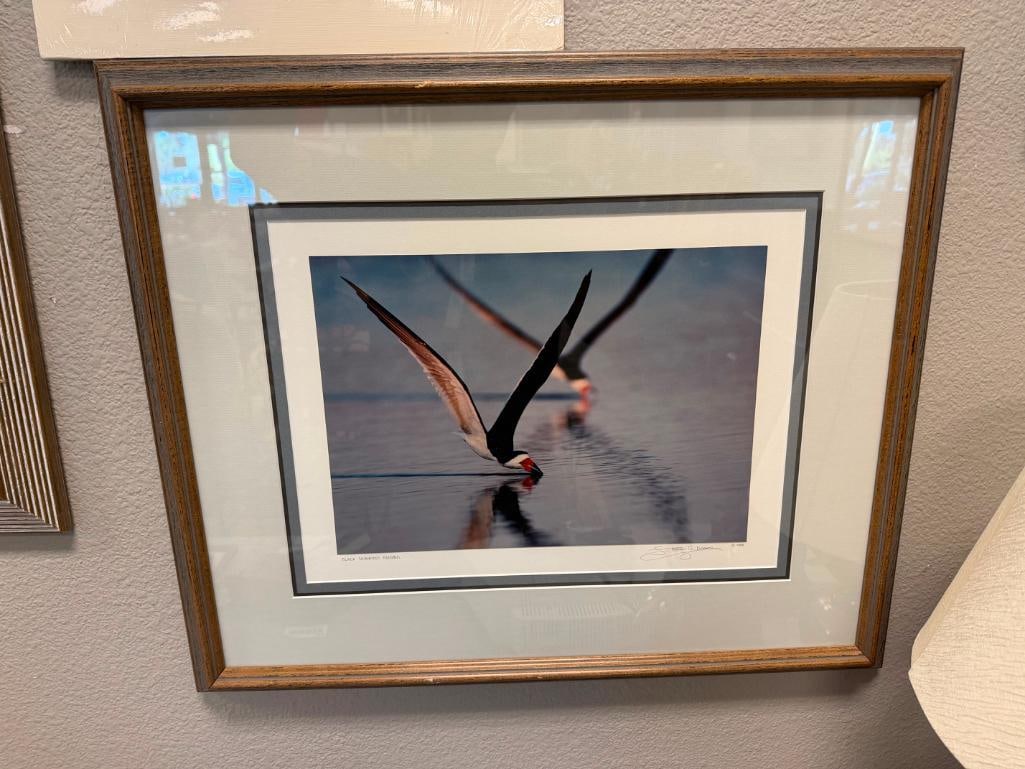STEPHEN G. MAKA NORTHEAST ARTIST REEDED PHOTOGRAPH BLACK SKIMMERS FEEDING 1988 - 2