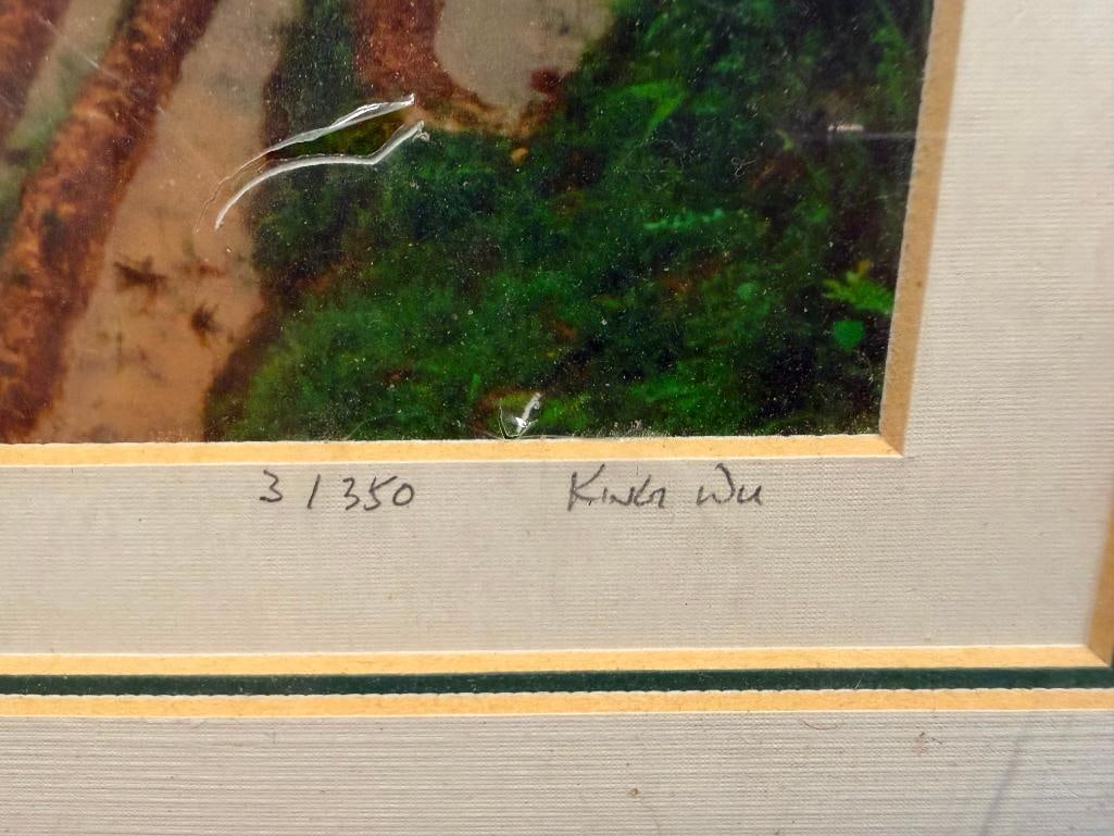 KING WU RENOWNED ARTIST LIMITED EDITION PHOTO OF A MAN IN A RICE FIELD NO. 3/350 - 4