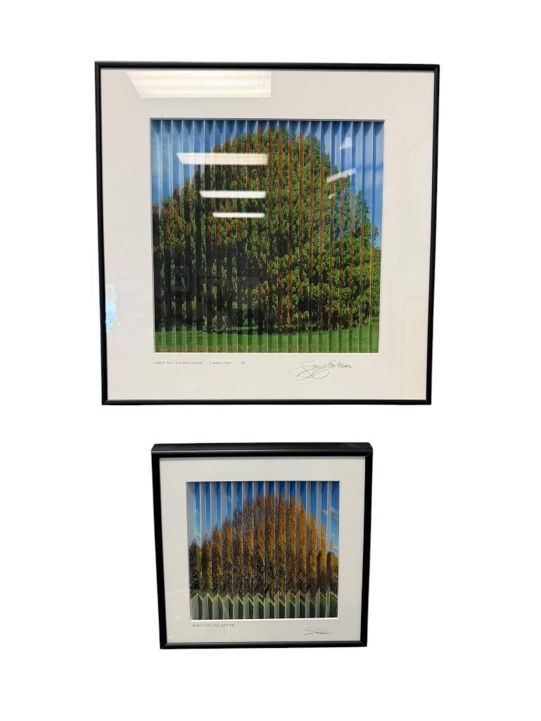 STEPHEN G. MAKA NORTHEAST ARTIST REEDED PHOTOGRAPHS OF MAPLE TREES: BOTH PHOTOGRAPHS ARE REEDED SHOWING THE SEASONAL CHANGES OF MAPLE TREE TITLED MAPLE TREE SEASONAL CHANGE SUMMER - FALL AND MAPLE TREE FALL - WINTER, BOTH ARE SIGNED LOWER RIGHT, FRAMED 16" X 16" AND 1