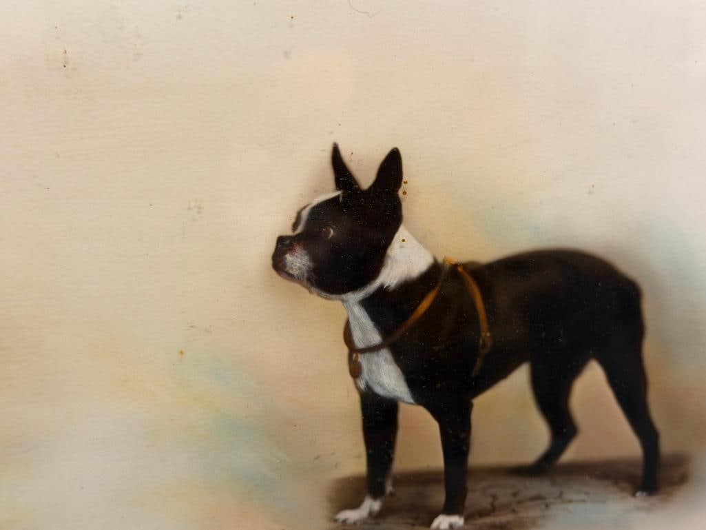 VINTAGE HAND COLORED HORIZONTAL PHOTOGRAPH FEATURES FIVE SEQUENTIAL ILLUSTRATIONS OF A TERRIER - 4