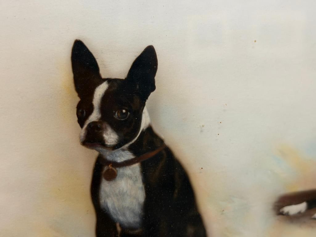 VINTAGE HAND COLORED HORIZONTAL PHOTOGRAPH FEATURES FIVE SEQUENTIAL ILLUSTRATIONS OF A TERRIER - 5