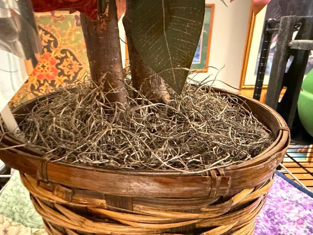 ARTIFICIAL CAPENSIA BUSH HOME DECOR - 4