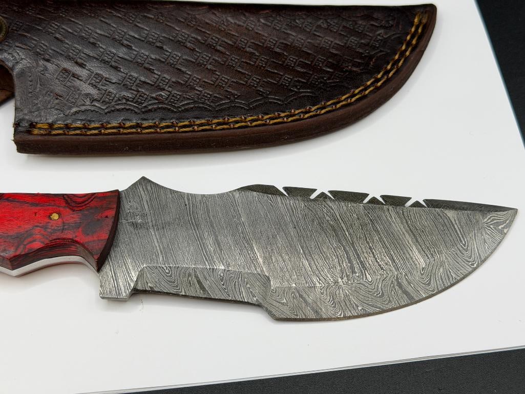 DAMSCUS STEEL FIXED BLADE KNIFE FEATURING FULL TANG BLADE AND SERATED BACK EDGE - 2