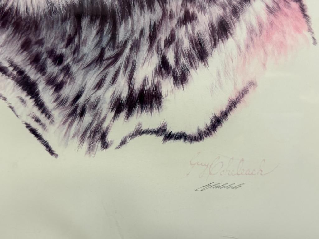 GUY COHELEACH AMERICAN WILDLIFE ARTSIT SIGNED PRINT SIBERIAN HUNTER TIGER PORTRAIT - 5