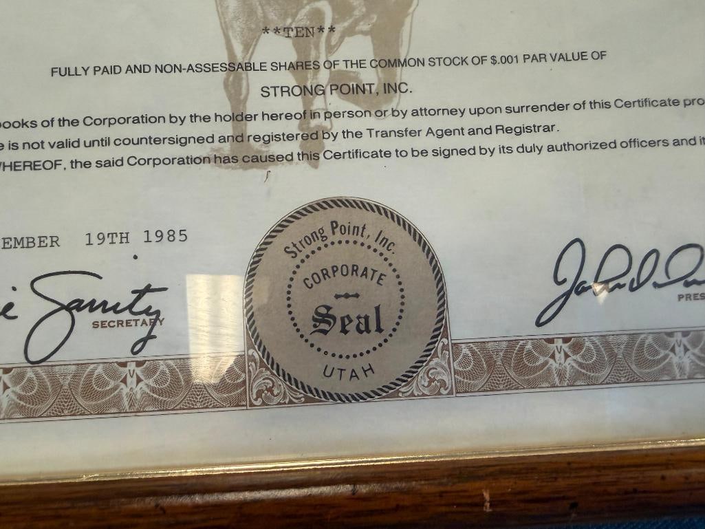 1985 STRONG POINT INC 50,000,000 SHARES STOCK CERTIFICATE NO. 3499 - 3