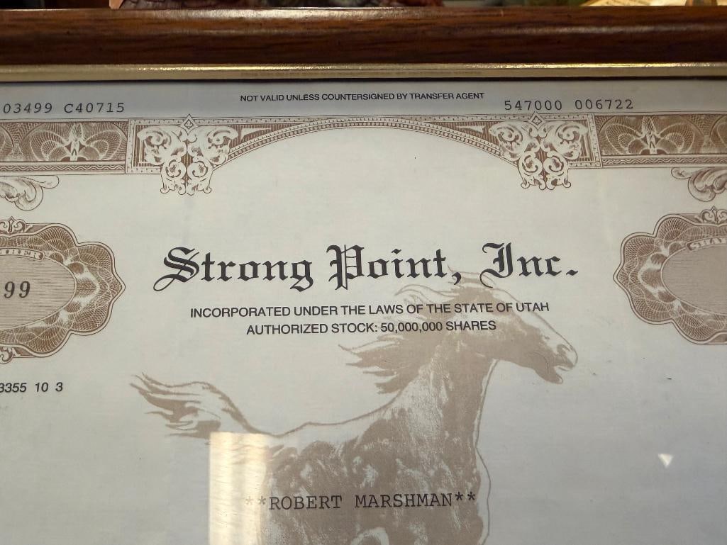 1985 STRONG POINT INC 50,000,000 SHARES STOCK CERTIFICATE NO. 3499 - 6