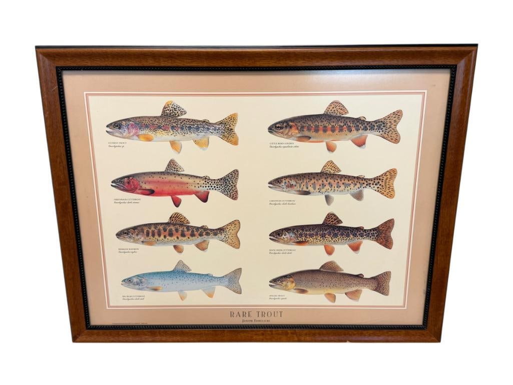 JOSEPH TOMELLERI RARE TROUT POSTER AND IDENTIFICATION CHART (1 of 9)