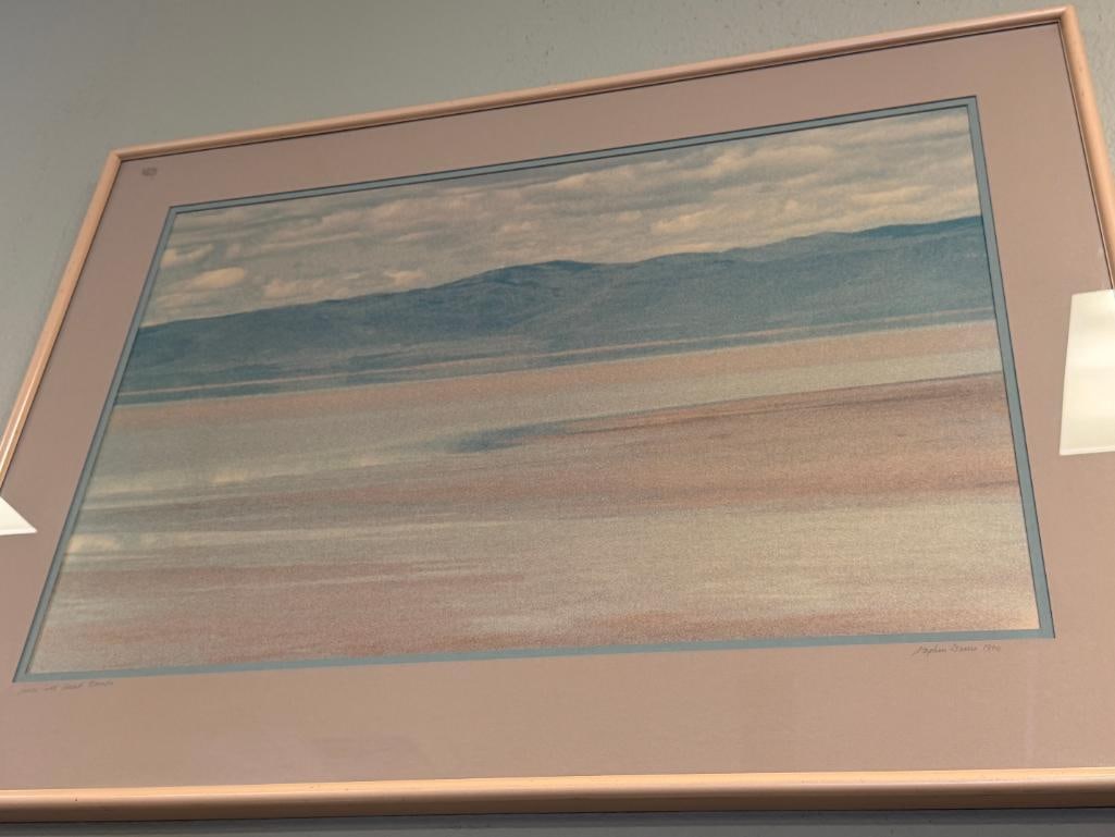 STEPHEN DAVIS NEVADA PHOTOGRAPHER SIGNED PRINT SMOKE CREEK DESERT, NEVADA - 3