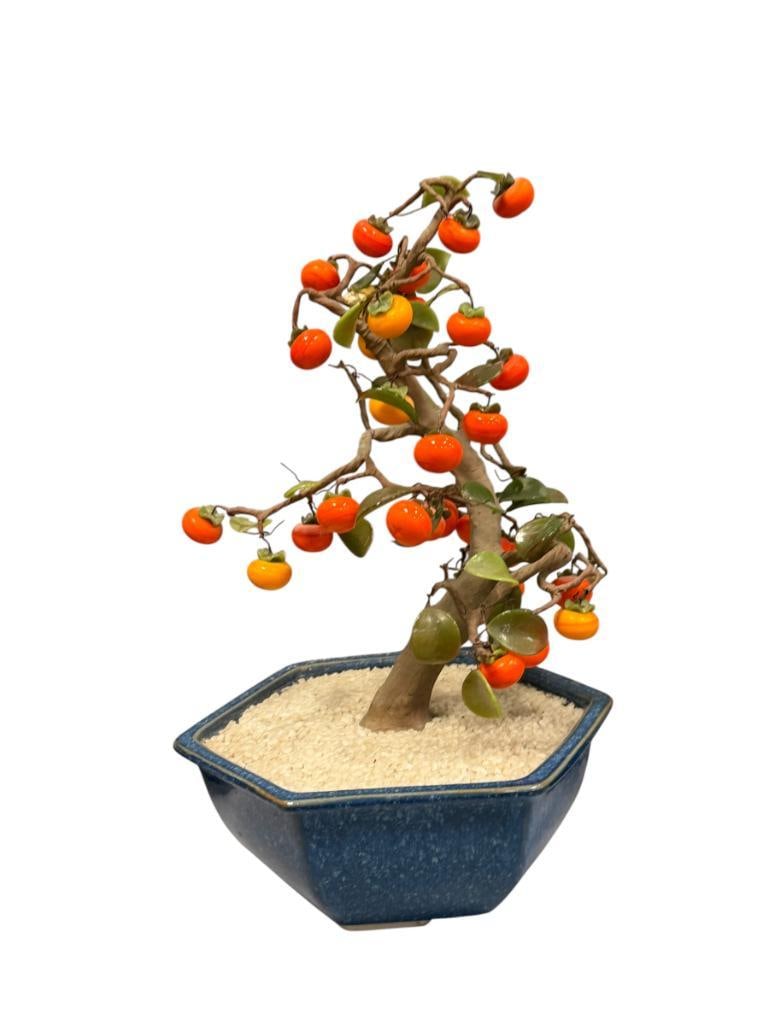 VINTAGE JAPANESE PERSIMMON BONSAI TREE (1 of 7)