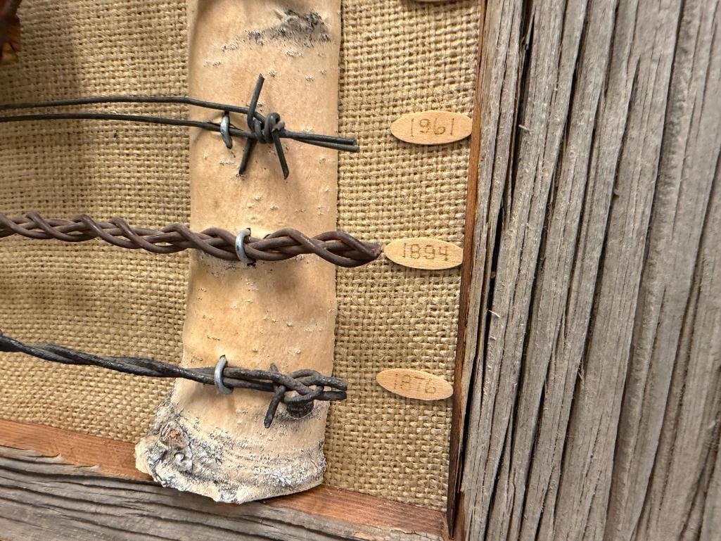 RUSTIC WESTERN DISPLAY FEATURING TEN DIFFERENT TYPES OF BARBWIRE FROM THE LATE 1800'S - 12
