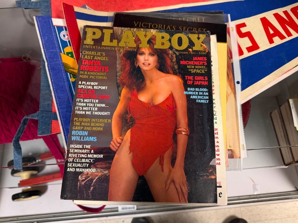 15 MAGAZINES INCLUDING MOSTLY PLAYBOY FROM THE 1970'S TO 1990'S INCLUDING 1945 PIN UP SHEET - 11