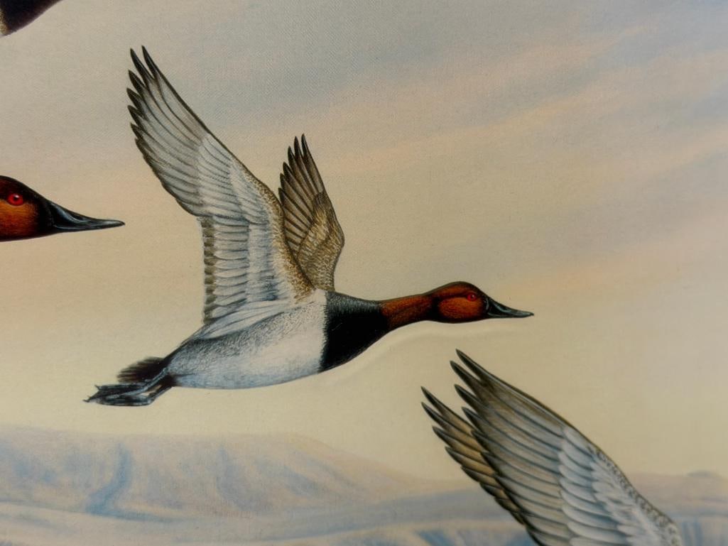 WILLIAM A. MOORE NEVADA ARTIST LIMITED EDITION PRINT CANVAS BACK DUCKS - 4