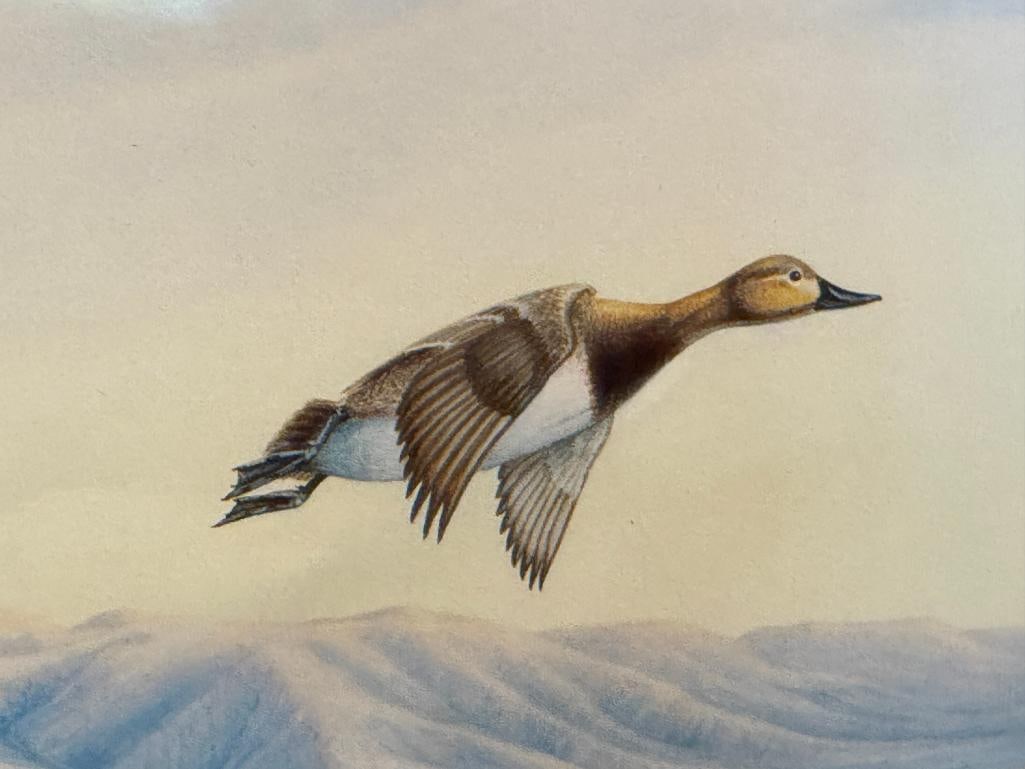 WILLIAM A. MOORE NEVADA ARTIST LIMITED EDITION PRINT CANVAS BACK DUCKS - 5