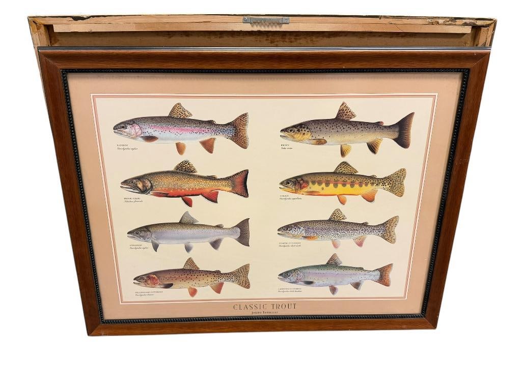 JOSEPH TOMELLERI CLASSIC TROUT POSTER AND IDENTIFICATION CHART (1 of 10)