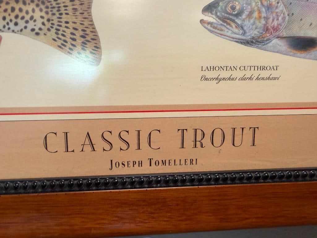 JOSEPH TOMELLERI CLASSIC TROUT POSTER AND IDENTIFICATION CHART - 3