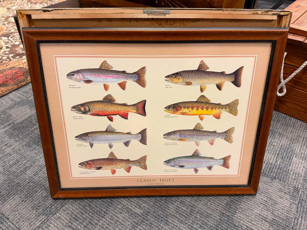 JOSEPH TOMELLERI CLASSIC TROUT POSTER AND IDENTIFICATION CHART - 6