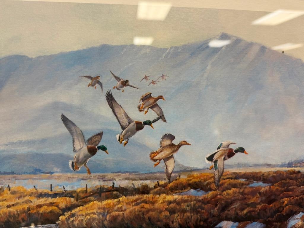 FRED BOYCE PROLIFIC NEVADA WILDLIFE ARTIST LIMITED EDITION PRINT OUT OF THE MORNING MIST NO. 26/500 - 6