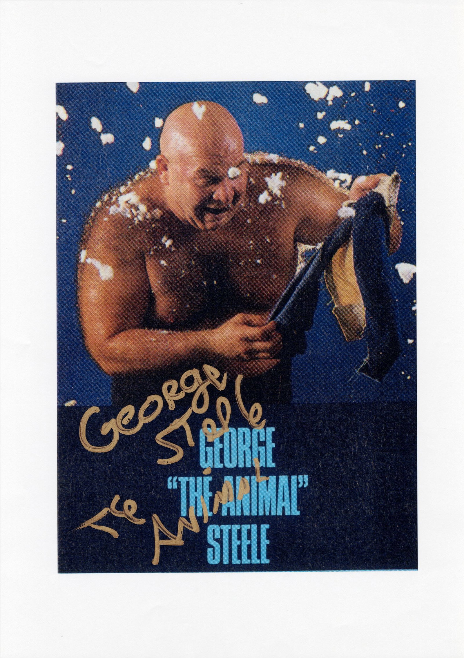 GEORGE 'THE ANIMAL' STEELE: A signed image of George 'The Animal' Steele: GEORGE 'THE ANIMAL' STEELE: An image of George 'The Animal' Steele, signed to front in gold marker by George 'The Animal' Steele, image measures 29.5 x 21cm overall
