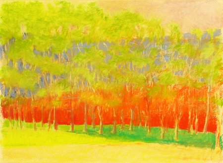 WOLF KAHN AMERICAS PASTEL 22 X 30 INCHES: Title: Landscape Organizes Wedges Medium/Date: Pastel on paper, 1997 Size: 22 x 30 inches 55.8 x 76.2 cm Signed: Signed bottom center Provenance: Provenance: Acquired from the Artist; Vered Galler