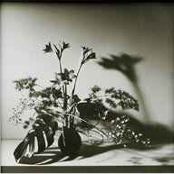 096: ROBERT MAPPLETHORPE (AMERICAN, 1946 - 1989): Artist: ROBERT MAPPLETHORPE (AMERICAN, 1946 - 1989) Title: Flower Arrangement Medium/Date: Vintage silver print, 1982 Edition of 10 Size: 15.5 x 11.5 inches 49.53 x 38.1 cm Signed: Signed and number