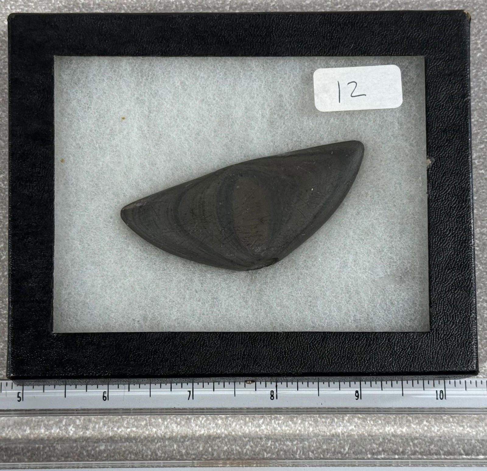 Miniature Winged Bannerstone 3" (1 of 2)