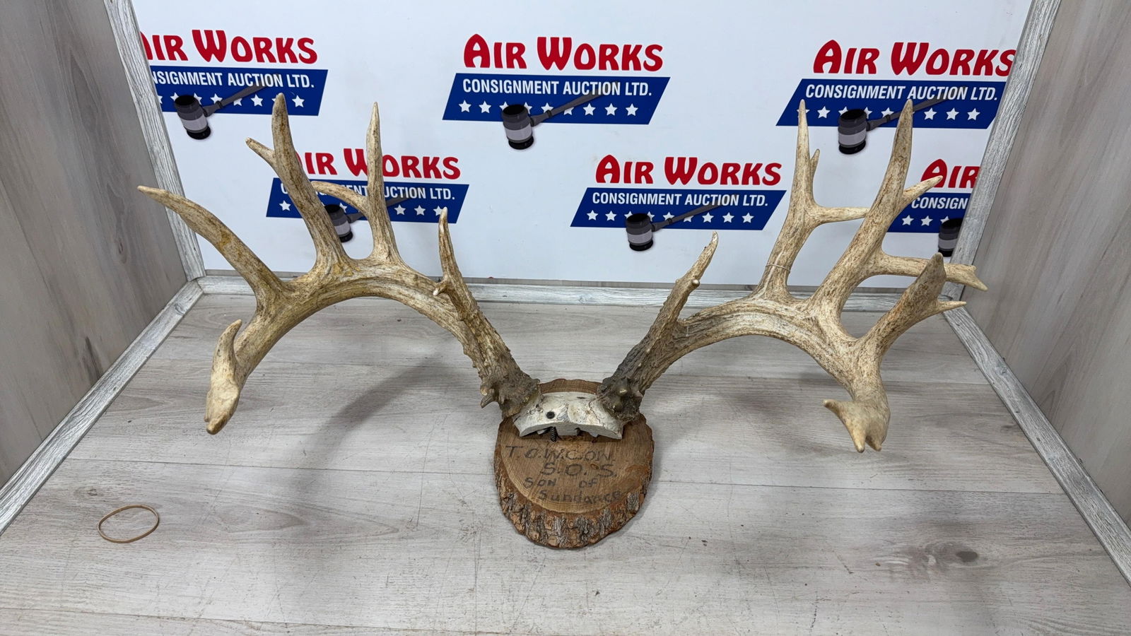 TROPHY DEER ANTLERS: Load-out Pick up for all online purchases for Antiques & collectibles is Monday, Tuesday, Wednesday, February 23rd, 24th, 25th At our shipper's location. We do offer shipping on all items shippable wi
