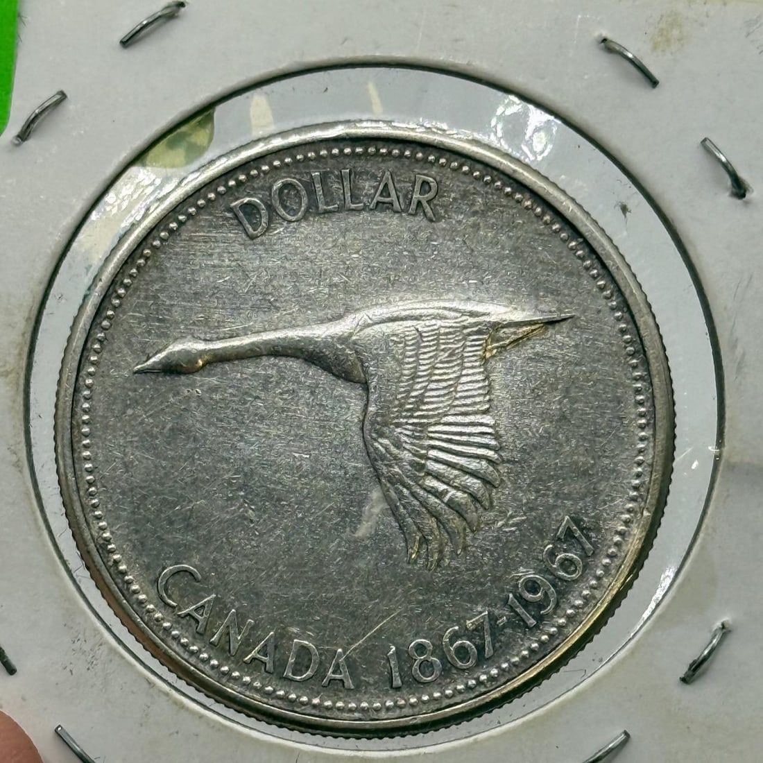 1967 Canada Centennial Dollar Commemorative Coin, Silver, Flying Goose Design: IMPORTANT, WE ONLY ACCEPT CREDIT CARDS UP TO $500 FOR ONLINE COIN PURCHASES. YOU CAN PAY ACH THROUGH PROXIBID, OR YOU CAN SEND A WIRE OR CERTIFIED CHECK. WE WILL HOLD ALL SHIPPING OF COINS FOR 10 DAYS