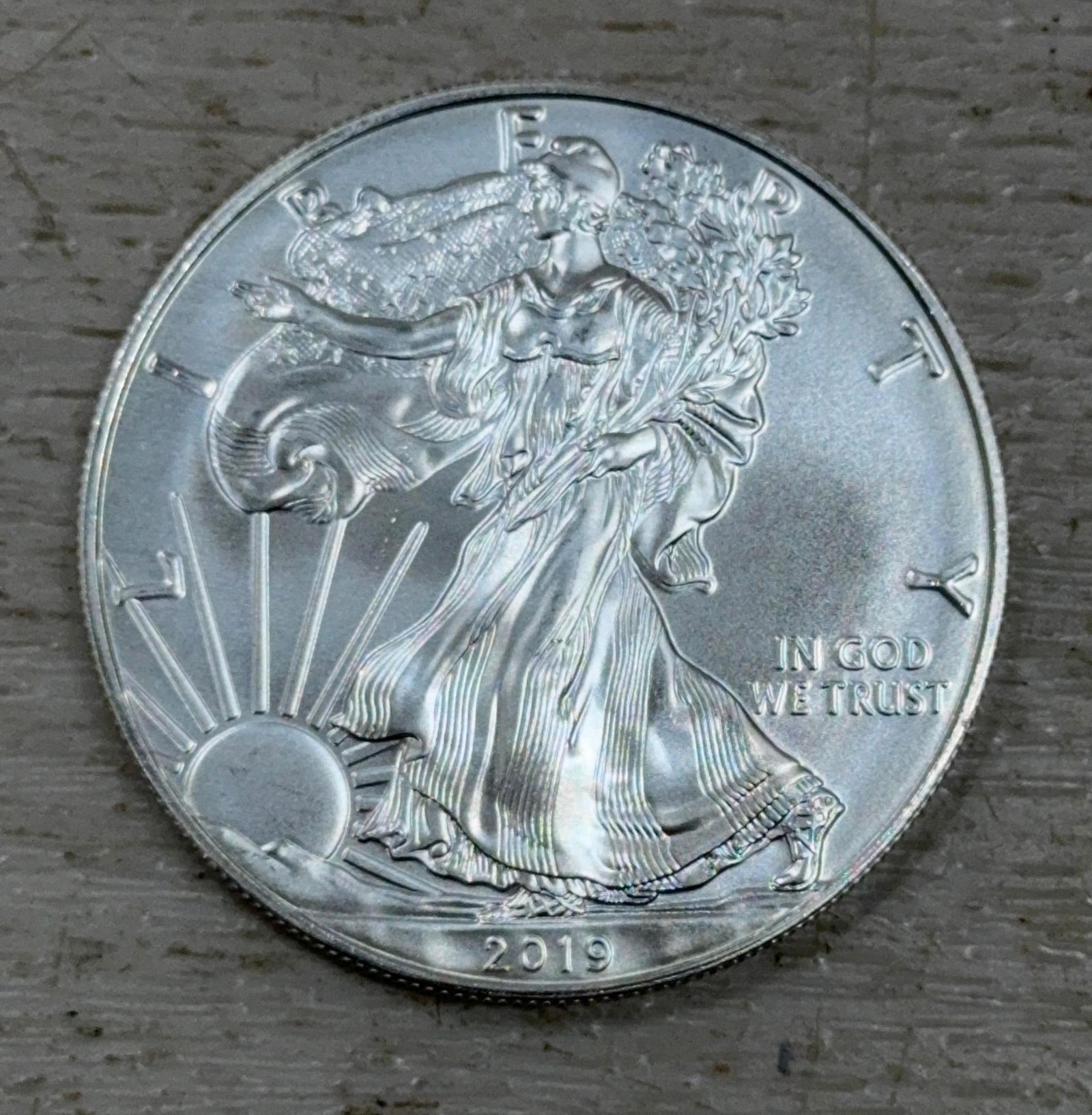 2019 SILVER EAGLE (1 of 2)