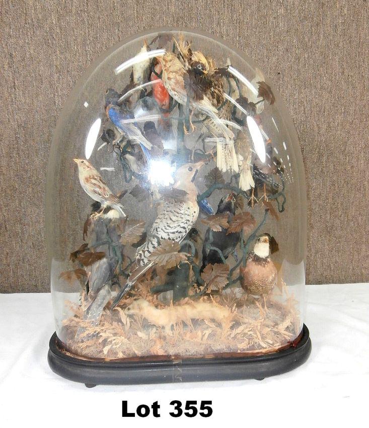 Victorian Glass Dome Diorama: Victorian glass dome birds diorama 21" tall