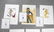 Lithograph Set "The Love of Ovid Suite" by Dali - 2