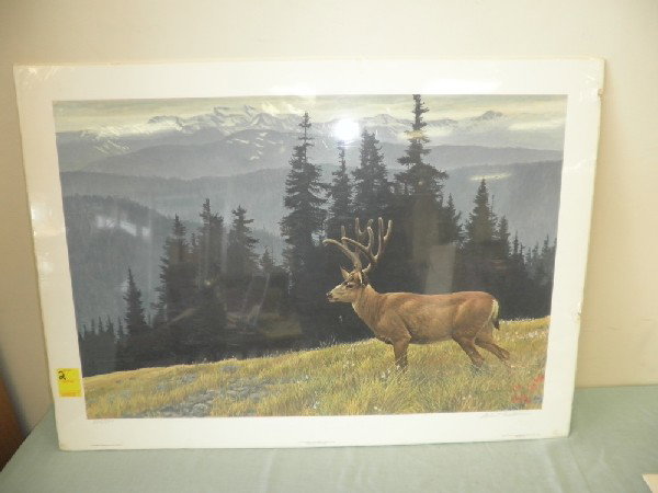 Black-Tailed Deer in the Olympics 834 /950: Robert Bateman Unframed Yr. 1986