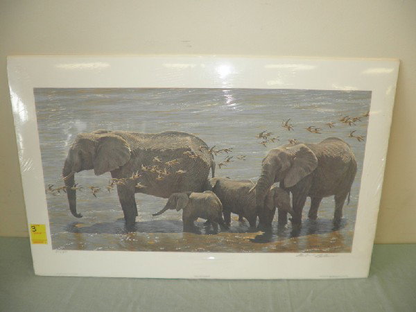 Elephant Head & Sandgrouse 847 / 950: Robert Bateman Unframed Yr. 1985