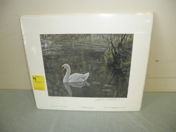 Sylvan Stream - Mute Swan 25 / 950: Robert Bateman Unframed Yr. 1985