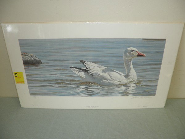 Proud Swimmer - Snow Goose 19 / 950: Robert Bateman Unframed Yr. 1985