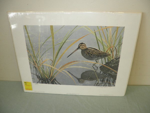 Marsh Reflections Common Snipe 5 / 950: John Pitcher Unframed Yr. 1985