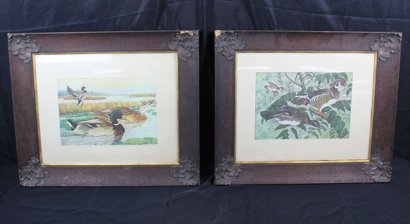 Two Rex Brasher Bird Lithographs (1 of 9)