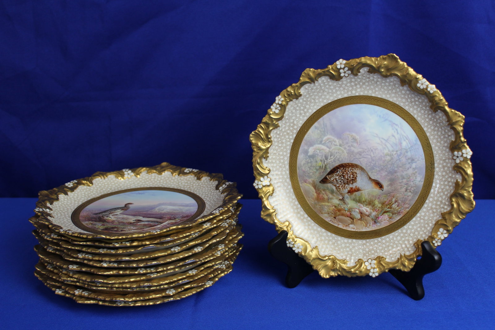 12 Bird Plates by Joesph Birbeck for Higgins and Seiter: Collection of 12 decorative bird game plates by Joesph Birbeck for Higgins and Seiter with gold tone trim and white flowers along with gold tones patterns around the bird scene. Each plate is signed J