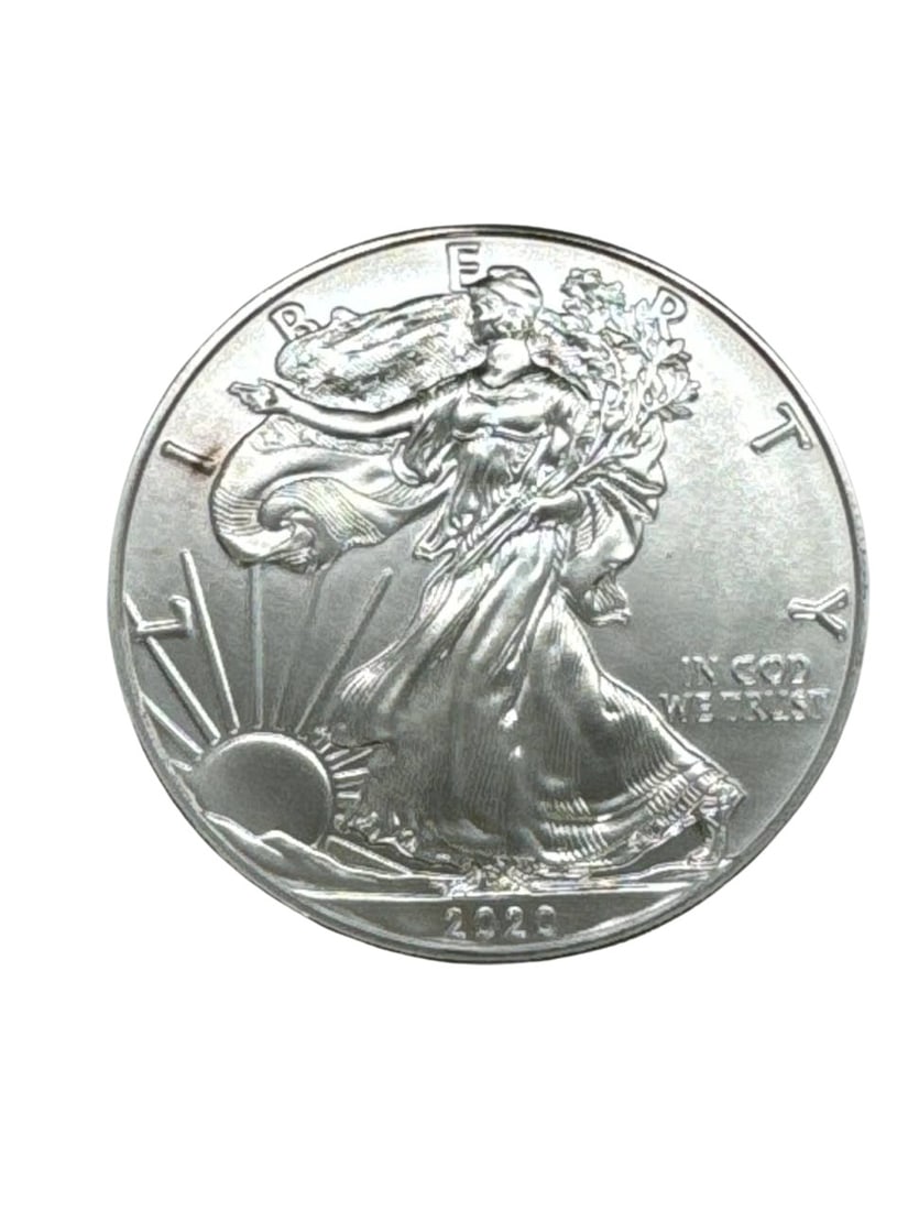 2020 American Silver Eagle Walking Liberty Coin 1 oz Fine Silver (1 of 7)